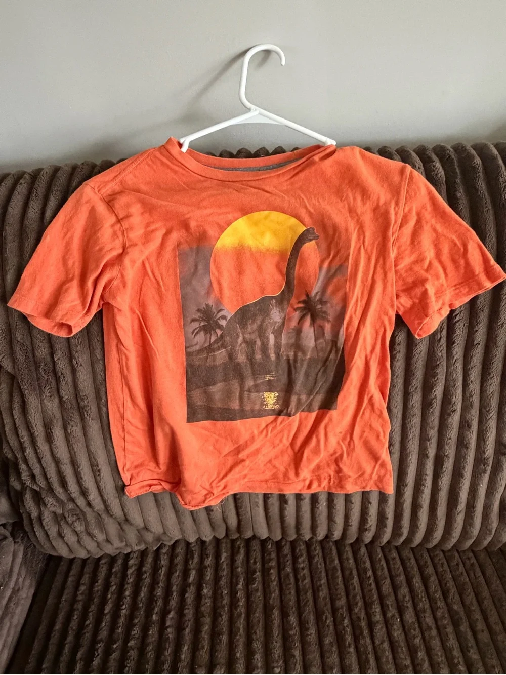Kids Orange Dinosaur Graphic Tee